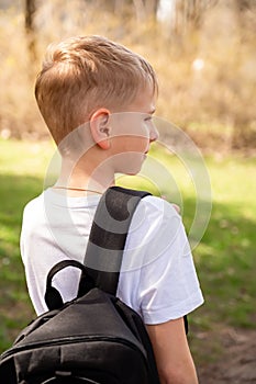 Back view of a boy with backpack walking on path in the park
