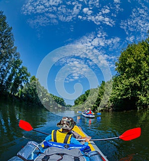 Back view of boy kayaking on the river on a sunny day during summer vacation