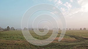 A back view of a countrygirl is walking her dog in a summer meadow. Red cheerful funny dog is happily jumping on field.