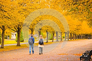 Back view of a couple walking on an avenue lined with trees in Regent`s Park of London photo