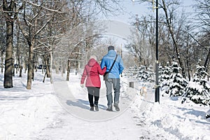 Back view of a couple walking in the snowy winter park with their dog. A man and a woman enjoy a frosty cold winter day walking