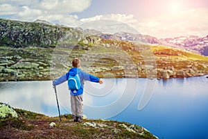 Back view of cute boy with hiking equipment in the mountains