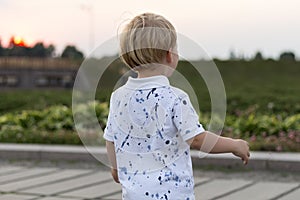 Back view on a cute little toddler boy in the park on the sunset on a summer day