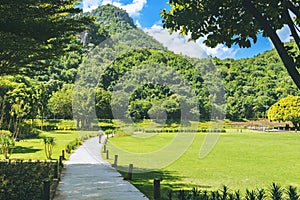 Back view of dad take care son by following looking after carefully in park. Young cute happy little boy running in park with