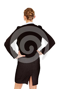 Back view of elegant businsess woman