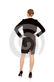 Back view of elegant businsess woman