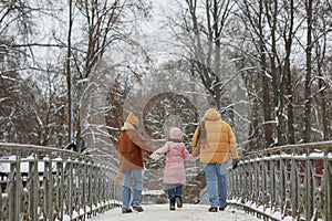 Back View of Family with Child Walking on Bridge photo