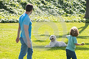 Back view of family with dog relaxing in park.