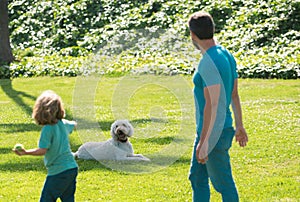 Back view of family with dog relaxing in park.