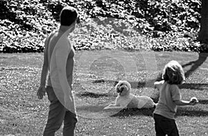 Back view of family with dog relaxing in park.