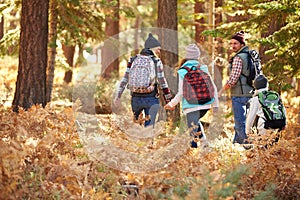 Back view of family hiking through forest, California, USA