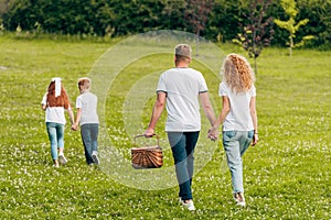 back view of family holding hands and walking with picnic basket