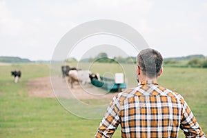 back view of farmer in checkered shirt standing and looking photo
