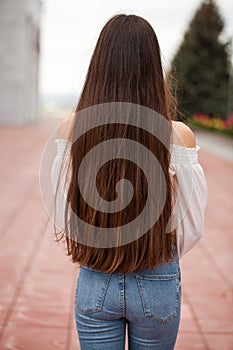 Back view female brunette hair