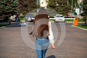 Back view female brunette hair