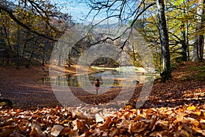 Back view of female photographer in red jacket and black hat taking a sevenlakes yedigoller, Bolu, Turkey