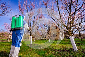 Back view on gardener in protective overall sprinkles fruit trees with long sprayer in orchard