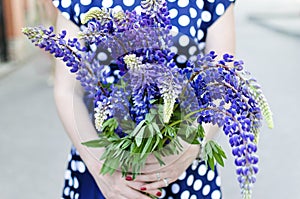 Back view on girl holding a bunch of beautiful lupine flowers. P