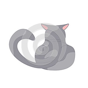 Back view of grey cat with ears back