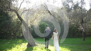 Back view of the groom and the bride walking hand in hand through the olive grove