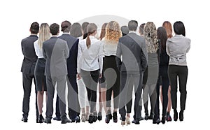 Back view group of business people. Rear view. Isolated over white background.