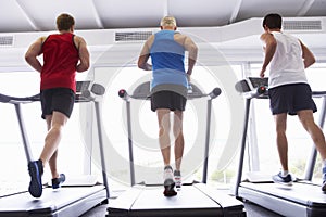 Back View Of Group Of Men Using Running Machines In Gym