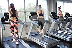 Back view of group of young people running on treadmills in sport gym . three fitness woman runner on running machine in morning