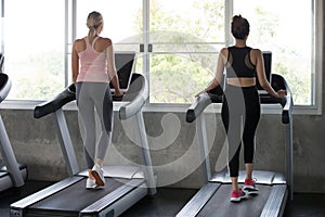 Back view of group of young people running on treadmills in sport gym . two fitness woman runner on running machine in morning