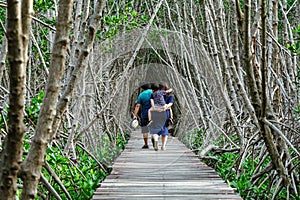 Back view of happy Asian family travel walk through on bridge wood with beautiful view of mangrove forest. Tourists refreshing and