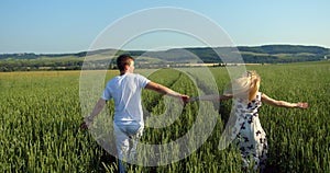 Back view of the happy beautiful loving couple holding hands while running along the field of green wheats. The