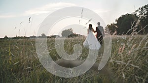 Back view of happy wedding couple walks on green grass on sunset