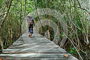 Back view of happy woman wear hat with bag travel walk alone through on bridge wood with beautiful view of mangrove forest. Female