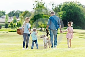 back view of happy young family with pet walking on green meadow