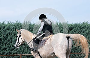 Back view of kid riding white horse