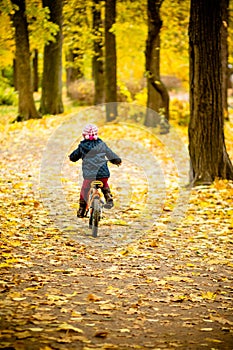 Back view of Little girl riding a bicycle in the park on the road covered with autumn oak and maple trees.Healthy