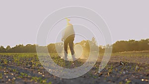 Back view of male farmer in rubber boots walking on field through small green sprouts of wheat. Man agronomist stepping