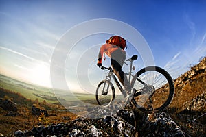 back view of a man with bicycle against the sky
