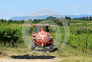 Back view of a manure tank spreader trailed by a tractor among vineyards in summertime.