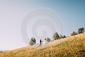 Back view of married couple walking in yellow meadow at summer.