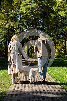 Back view of mature couple walking