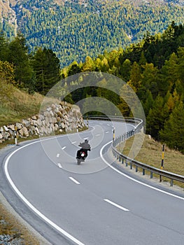 Back view of motorcyclist in black jacket and helmet riding sportbike along twisty road between tall green trees and beautiful