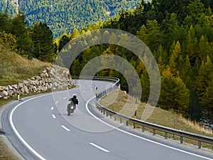 Back view of motorcyclist in black jacket and helmet riding sportbike along twisty road between tall green trees and beautiful