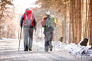 Back view of mountaineers while walking