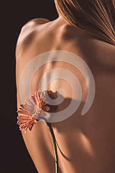 back view of naked girl with gerbera flower,