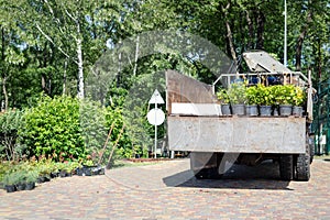Back view of open truck body delivering from nursery plants and flowers seedlings for gardening at city park or garden