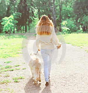 Back view owner woman and Golden Retriever dog walking in spring