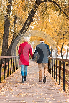 back view of senior couple holding hands and walking