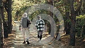 Back view. Senior couple, man and woman in comfortable casual clothes walking in forest on warm sunny day