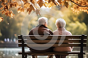 Back view of senior couple sitting on bench in the park