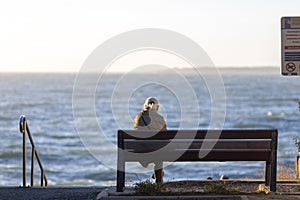 Back view of senior woman sitting on a bench at the beach